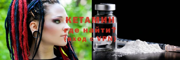 прущие грибы Сосновый Бор