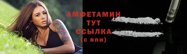 spice Гусев
