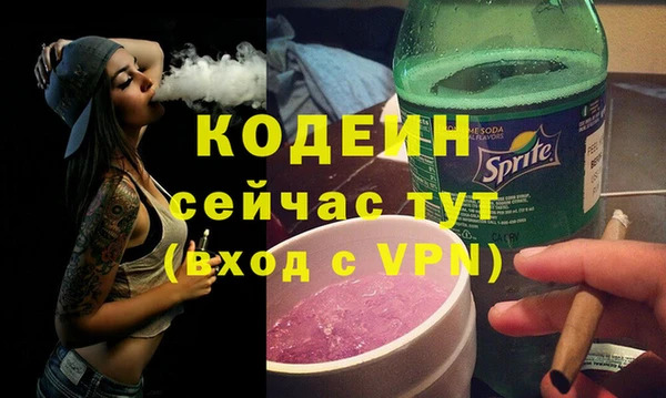 spice Гусев
