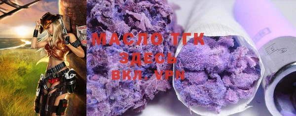 spice Гусев