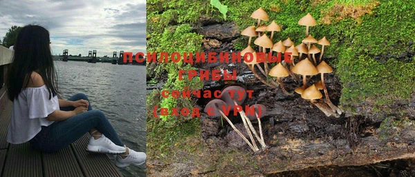 а пвп мука Гусиноозёрск