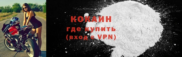 spice Гусев