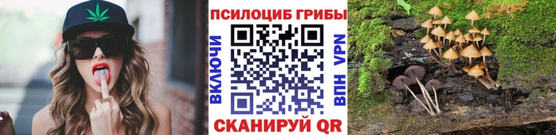 Псилоцибиновые грибы прущие грибы  Волчанск 